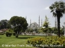 The Blue Mosque, Istanbul, Turkey.