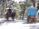 A horse-drawn carriage in Büyükada, one of the Princes' Islands in Istanbul, Turkey