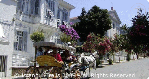 Horse-drawn carriage on Büyükada in Istanbul, Turkey