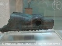 A bronze snake head in the Istanbul Archaeology Museums, Turkey. A bronze snake head in the Istanbul Archaeology Museums, Turkey.